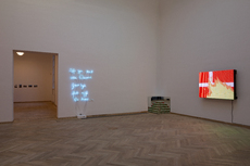 Installation view. Working Title: “A Retrospective Curated by XXXXXXXXX” at Kunsthal Charlottenborg, 2013.