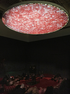Pigs, Time and Space, 2016. 21:12 min. Installed at the 11th Shanghai Biennial.