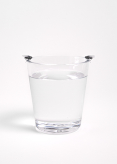 Two Flies Staring at Each Other (On a Glass of Water)