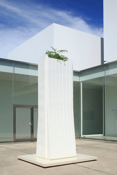 Large scale concrete version of Investment Bank Flowerpots/JPMorgan Chase Caesalpinia decapetala installed at 21st Century Museum of Contemporary Art, Kanazawa, 2017. 