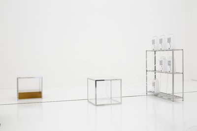 The Fermentation Act, 2016 installed at 21st Century Museum of Contemporary Art, Kanazawa. 
