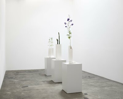 Investment Bank Flowerpots installed for Like A Force Of Nature, Nils Stærk Gallery, 2021.